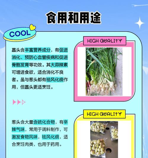 葱头催芽方法是什么？需要多长时间才能发芽？