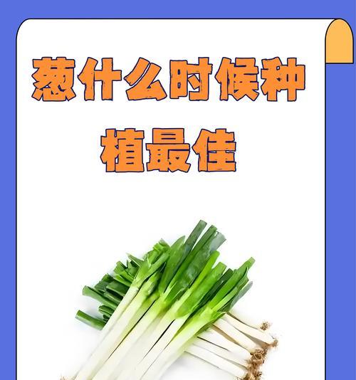 葱头催芽方法是什么？需要多长时间才能发芽？