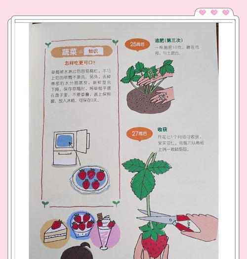 草莓怎么种植？草莓种植方法有哪些常见问题？