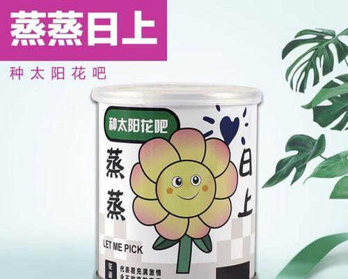罐罐太阳花种植方法是什么？如何确保成活率高？