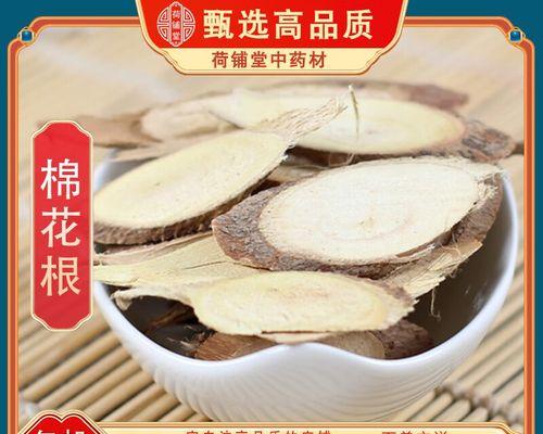 野棉花根的种植方法是什么？如何确保种植成功？