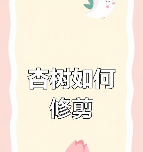 开心杏树修剪枝条的最佳时机是什么时候？修剪后如何促进生长？