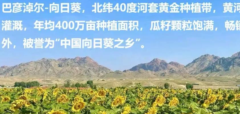 葵花籽种植方法有哪些步骤？如何确保高产？