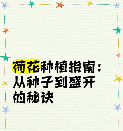 莲花籽催芽保存方法是什么？步骤和注意事项有哪些？