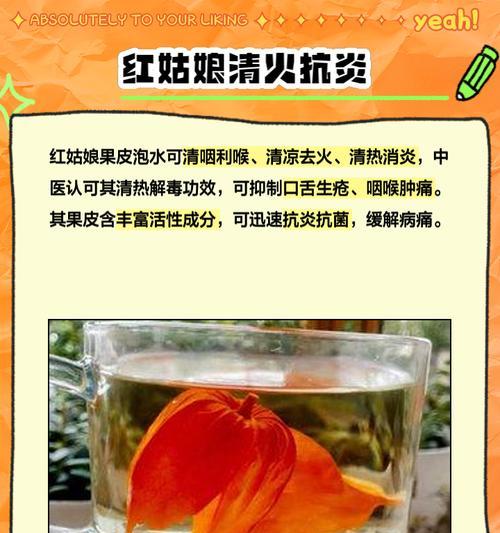 红菇娘怎么种植方法？从播种到收获的完整步骤是什么？