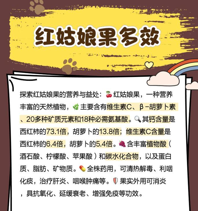 红菇娘怎么种植方法？从播种到收获的完整步骤是什么？