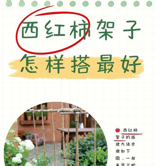 迷你番茄种植方法是什么？如何正确种植迷你番茄？