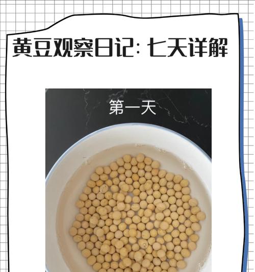 黄豆种子在家催芽方法？需要多长时间？