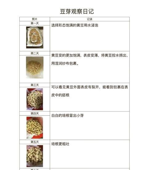 黄豆种子在家催芽方法？需要多长时间？