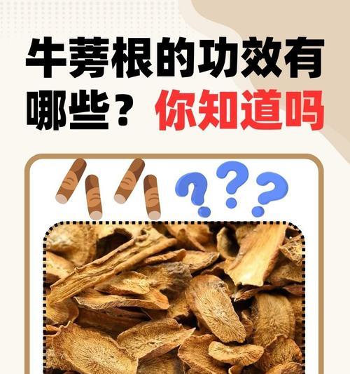 牛蒡怎么种植方法？步骤和注意事项是什么？