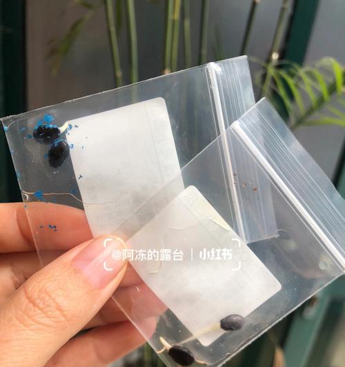 西瓜籽毛巾催芽怎么用的？毛巾催芽步骤和注意事项是什么？