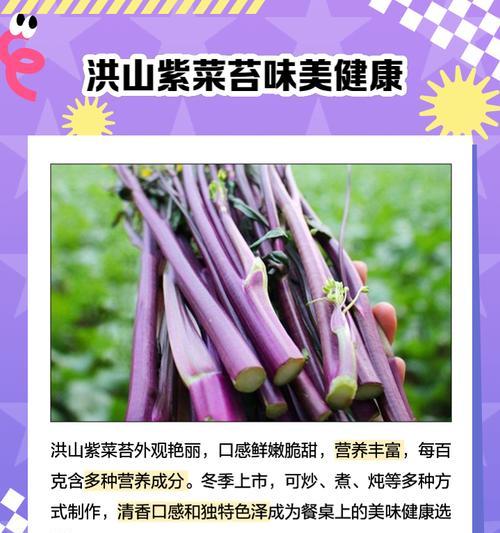 红山菜薹种植方法有哪些？如何确保种植成功？