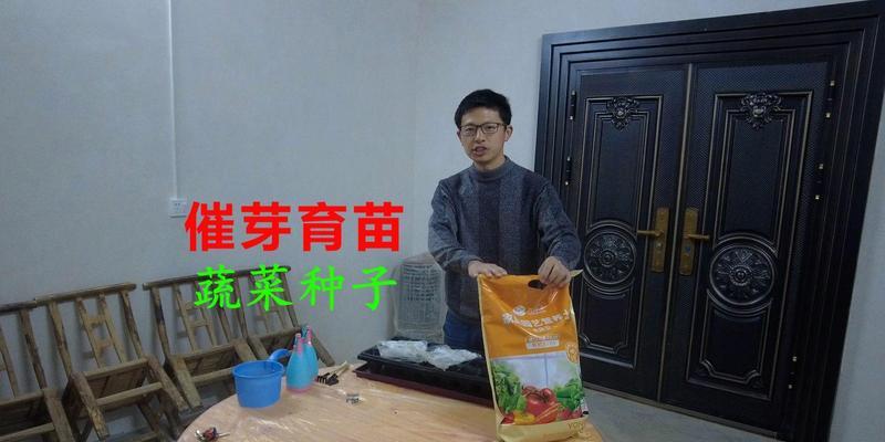 催芽发芽育苗怎么做？步骤和注意事项是什么？