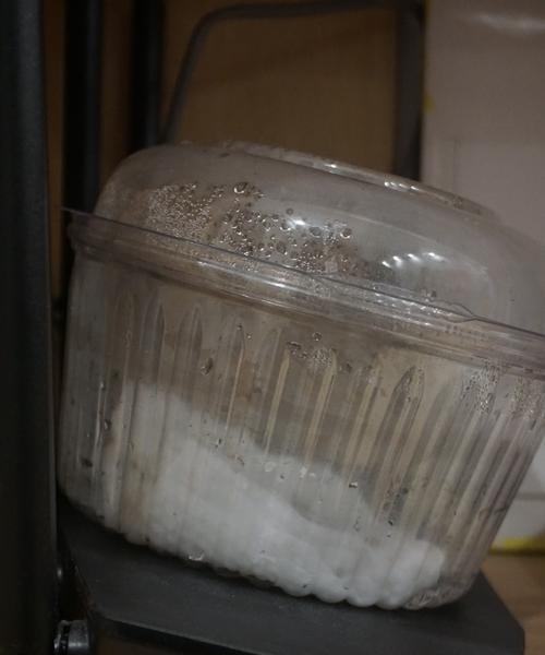 全自动催芽器使用方法是什么？常见问题有哪些解决办法？