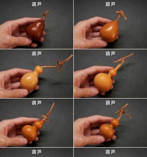 盘玩小葫芦怎么催芽？有哪些有效的方法？