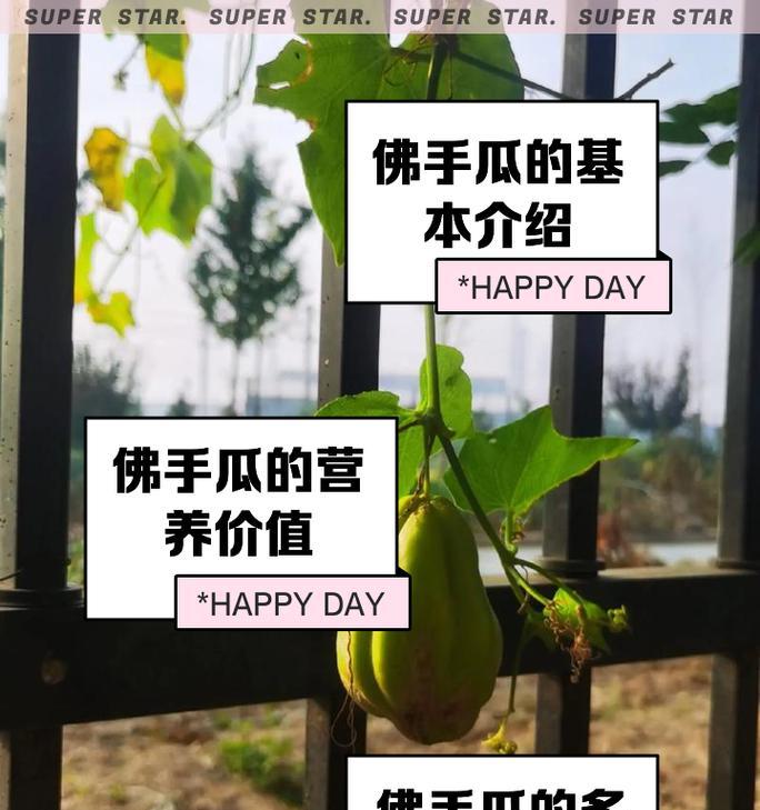 木手瓜怎么种植方法？种植过程中需要注意哪些问题？