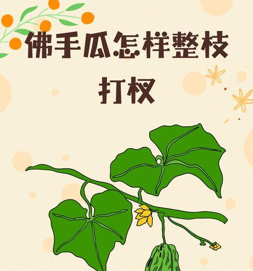 木手瓜怎么种植方法？种植过程中需要注意哪些问题？