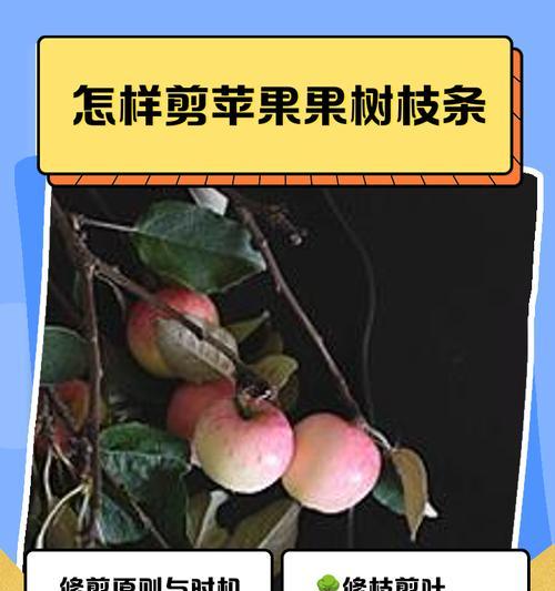 春天熊掌修剪枝条的最佳时机和方法是什么？
