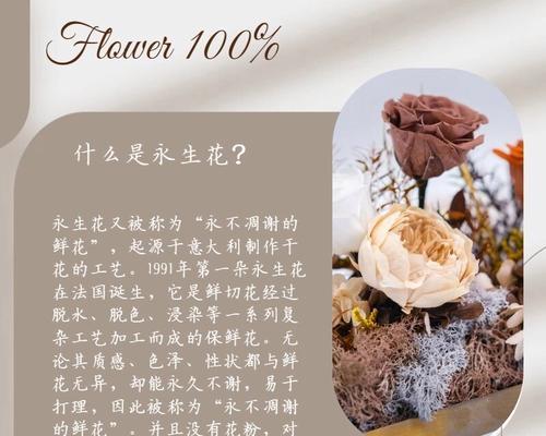 104朵花代表什么含义？花语解读常见问题解答？