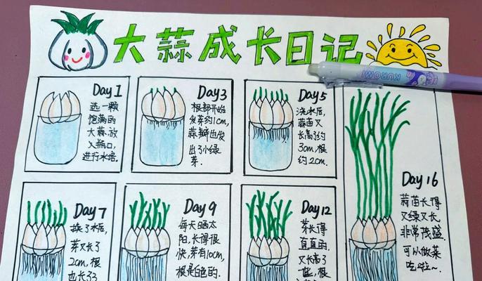 嫩大蒜催芽方法是什么？需要多长时间才能发芽？