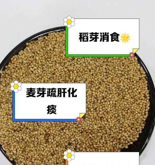 稻种催芽率低怎么回事？如何提高稻种的发芽率？
