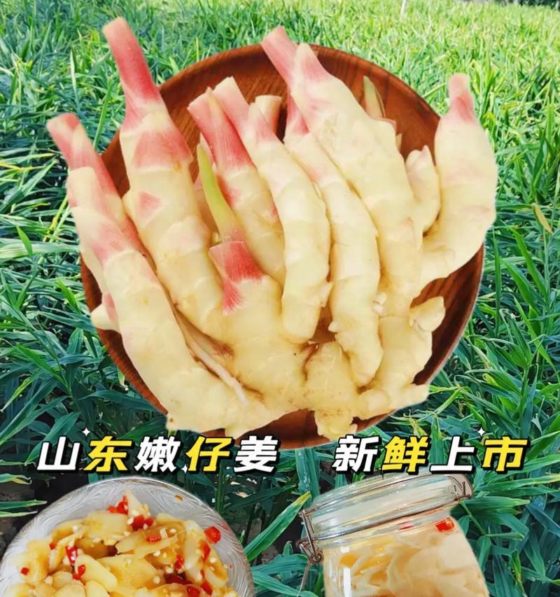 生姜催芽的最佳方法是什么？需要多长时间才能发芽？