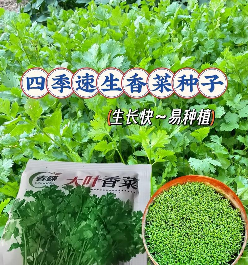 湘菜种植方法有哪些？如何正确种植湘菜？