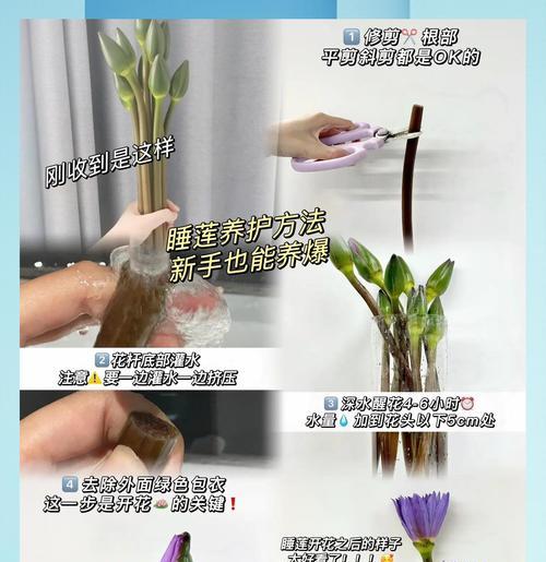 碎莲修剪枝叶的最佳时机是什么时候？如何正确修剪？