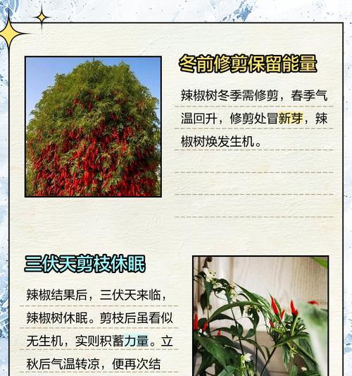 把树干剪了只剩主干如何快速催芽？
