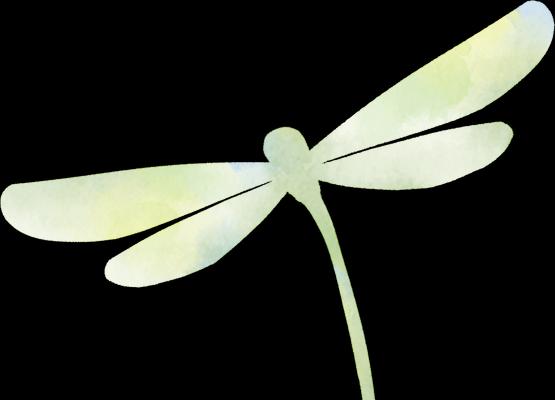 中型荷花催芽方法是什么？如何快速让中型荷花发芽？