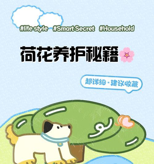 中型荷花催芽方法是什么？如何快速让中型荷花发芽？