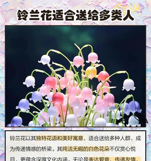 104朵花代表什么含义？104朵花的寓意是什么意思？