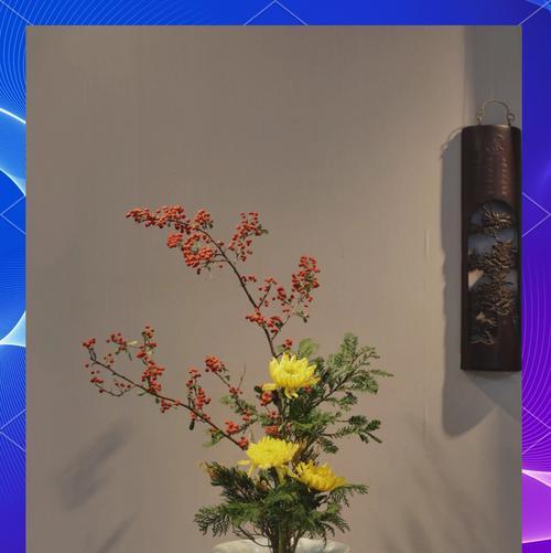 碗花栽培种植方法有哪些？如何正确进行碗花的种植？