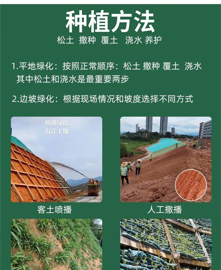 草坪种子怎么种植方法？步骤和注意事项是什么？
