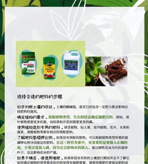 茄子催芽最快的方法是什么？步骤和技巧有哪些？