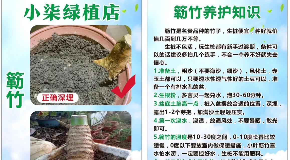 青竹根修剪枝条的最佳时机是什么时候？如何正确修剪以促进生长？