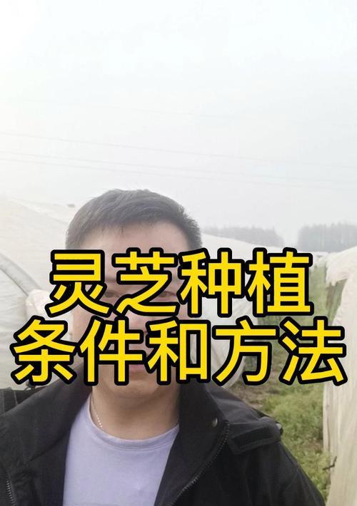 灵芝根种植方法有哪些步骤？如何确保种植成功？