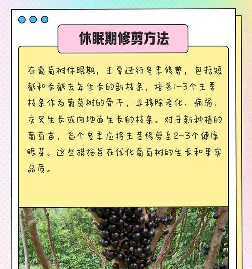 葡萄秋天修剪枝的正确方法是什么？修剪后如何管理？
