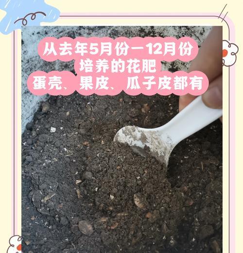 盆种植物换土方法是什么？换土过程中需要注意哪些问题？