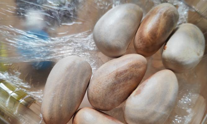 菠萝蜜核催芽种植方法是什么？需要多长时间才能发芽？