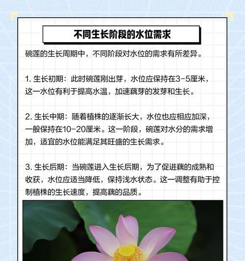 碗莲藕催芽方法是什么？步骤和注意事项有哪些？