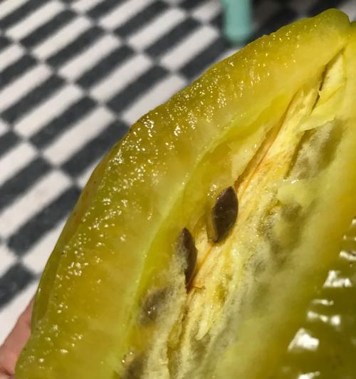 房子里面怎么催芽？有哪些有效的方法？