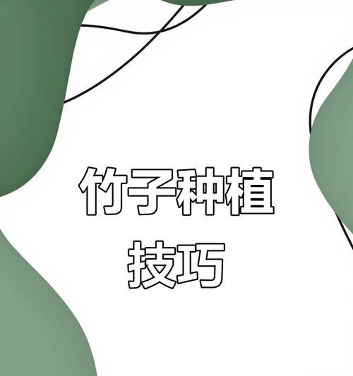 副季竹怎么种植方法？有哪些步骤和技巧？
