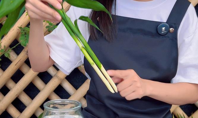 副季竹怎么种植方法？有哪些步骤和技巧？