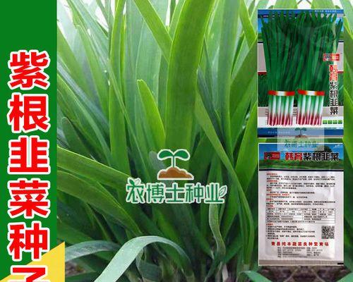 蔬菜种子催芽方法是什么？需要多长时间才能发芽？