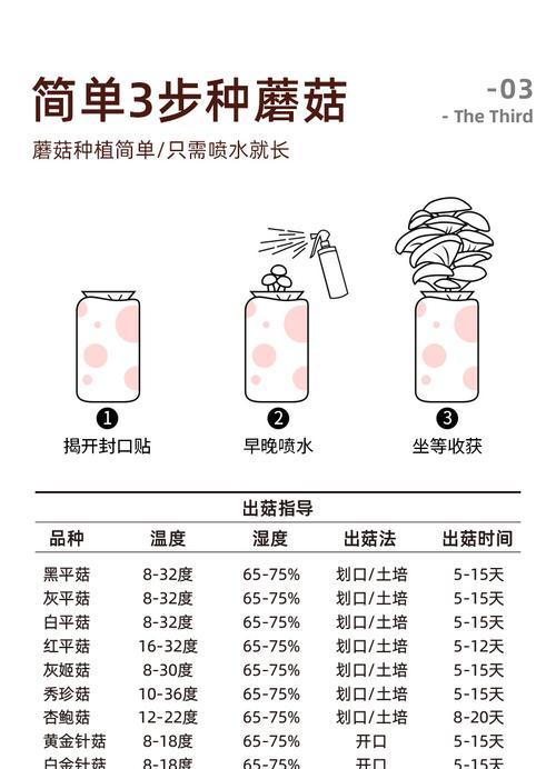 种菌菇怎么种植方法？新手入门指南有哪些？