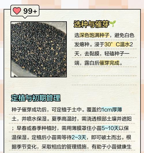 葫芦种子催芽时都浮在水面上该如何处理？