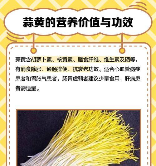 种蒜黄的正确步骤是什么？如何确保高产？