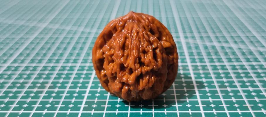 种核桃怎么种植方法？核桃种植的步骤和注意事项是什么？