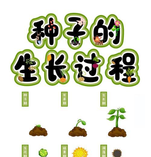 怎么给种子催芽育苗？最佳方法和步骤是什么？